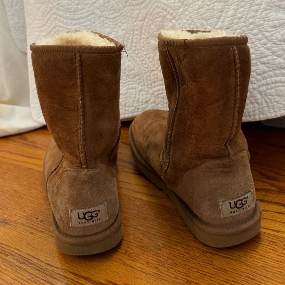 Chestnut Ugg